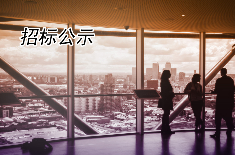  關于揚州全域旅游有限公司-商業(yè)經(jīng)營部小吃類食品采購項目（B類）流標說明